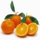 Sweet Orange Essential Oil Sweet Orange Essential Oil
