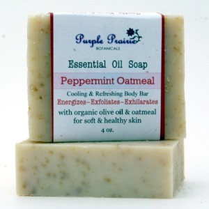 Peppermint Oatmeal Bar