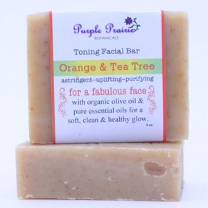 Orange Teatree Facial bar