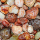 Carnelian